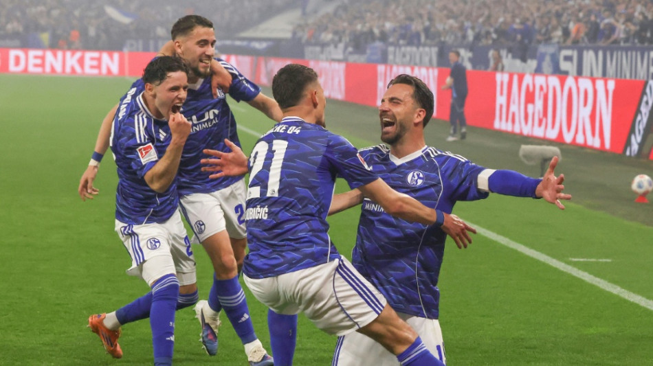 K&ouml;nigsblau im Rausch: Schalke zur&uuml;ck in der Bundesliga