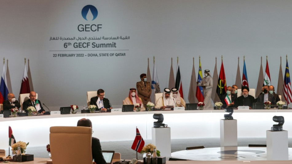 Sommet gaz: Doha salue les efforts pour assurer la "stabilit&eacute;" des march&eacute;s