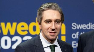 Simon Harris nimmt entscheidende H&uuml;rde auf Weg zu neuem irischen Regierungschef 