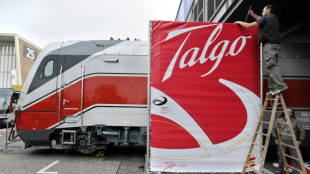 Un consorcio espa&ntilde;ol llega a un acuerdo para adquirir casi el 30% del constructor ferroviario Talgo