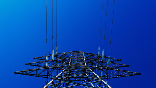 Cala bolletta luce per vulnerabili, -7,6% quarto trimestre