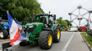 Bauern und Rechtspopulisten demonstrieren in Br&uuml;ssel