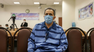 Un disidente irano-alem&aacute;n, condenado a muerte en Ir&aacute;n por "terrorismo"
