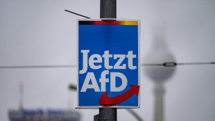 Una reuni&oacute;n de extremistas en Alemania discuti&oacute; un plan de expulsi&oacute;n de extranjeros