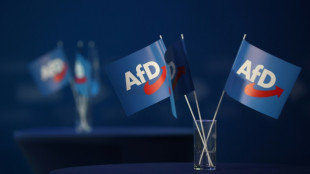 Abgeordneter verl&auml;sst AfD-Fraktion in nieders&auml;chsischem Landtag 