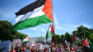 Milhares de manifestantes pr&oacute;-palestinos protestam em Washington contra pol&iacute;ticas de Biden