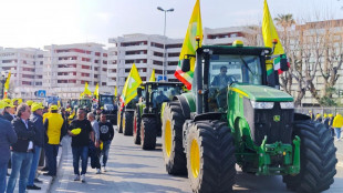 Coldiretti, 10mila agricoltori al Brennero per modifica del codice doganale