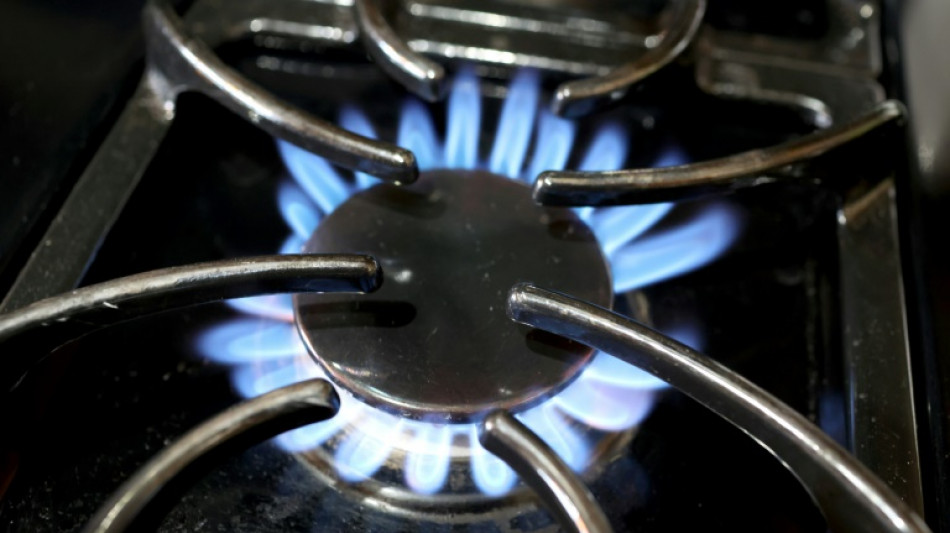 Cuando la cocina de gas inflama el debate pol&iacute;tico en Estados Unidos