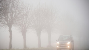ADAC erwartet zu drittem Advent viel Verkehr auf Fernstraßen in Deutschland