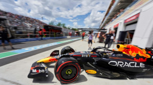 F1: Verstappen d&eacute;j&agrave; au max au premier jour des essais au Canada