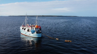 EU-Fischereiverbote: Rainer setzt sich für Ausnahme für Ostsee-Fischer ein