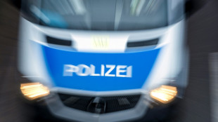 18-j&auml;hriger Berliner offenbar aus politischen Motiven niedergeschlagen