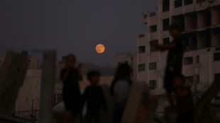 Una fuerza internacional de estabilización será desplegada "muy pronto" en Gaza, afirma Trump