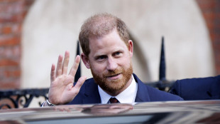 Bufera su ong, principe Harry scagionato da accuse di bullismo