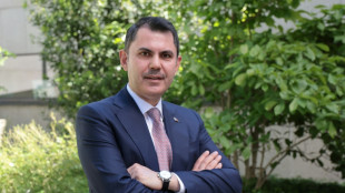 D&eacute;cr&eacute;ter la sortie des &eacute;nergies fossiles n'est "pas r&eacute;aliste", dit le pr&eacute;sident de la COP31 &agrave; l'AFP 