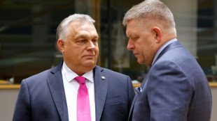 Hungary's Orban says 'link between terrorist acts and migration'