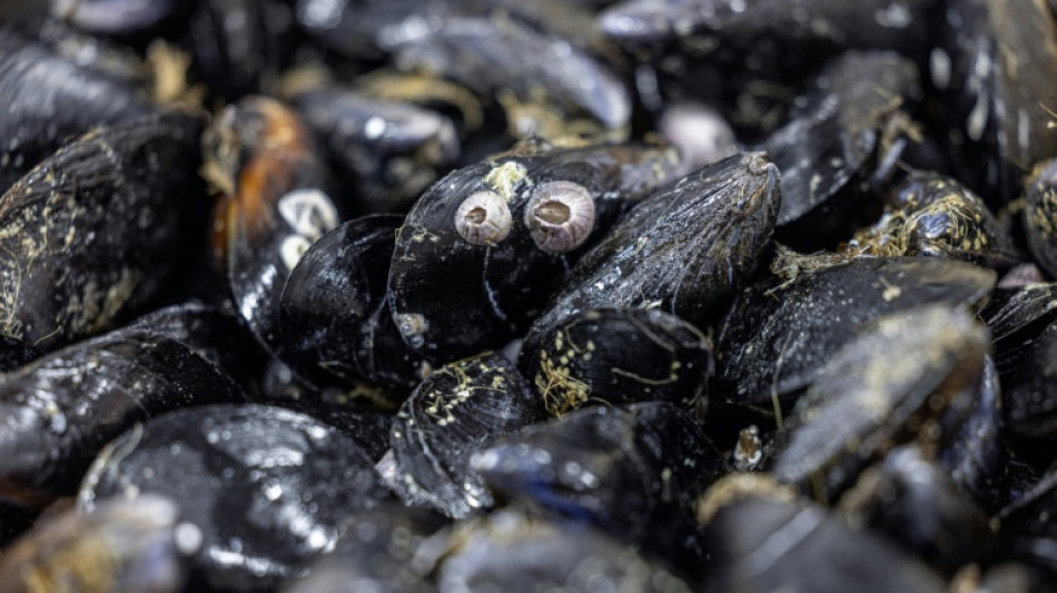 Pesticides et m&eacute;dicaments retrouv&eacute;s sur tout le littoral fran&ccedil;ais