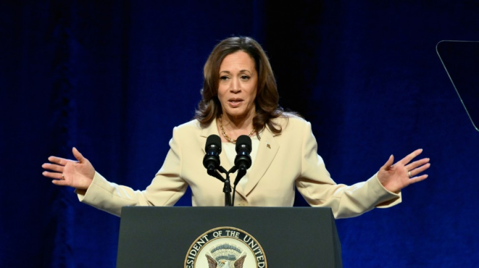 Kamala Harris, uma pioneira diante do &uacute;ltimo teto de vidro