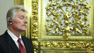 Cremlino, 'gli Usa armano Kiev coi Patriot, ma vogliono contribuire alla pace'