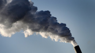Schiedsklagen von Energiekonzernen gegen EU-Staaten besch&auml;ftigen den BGH