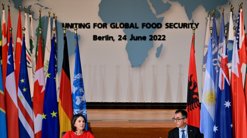 Cuarenta pa&iacute;ses buscan "soluciones" a la crisis alimentaria en una conferencia en Berl&iacute;n