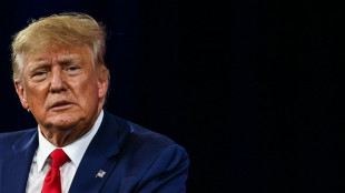 Un comit&eacute; legislativo dice que Trump viol&oacute; la ley al intentar revertir las elecciones