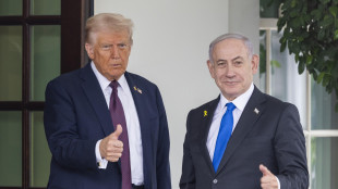 Netanyahu, 'accetto il piano di Trump per fermare la guerra'