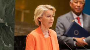 Von der Leyen, abbattere jet russi è opzione sul tavolo