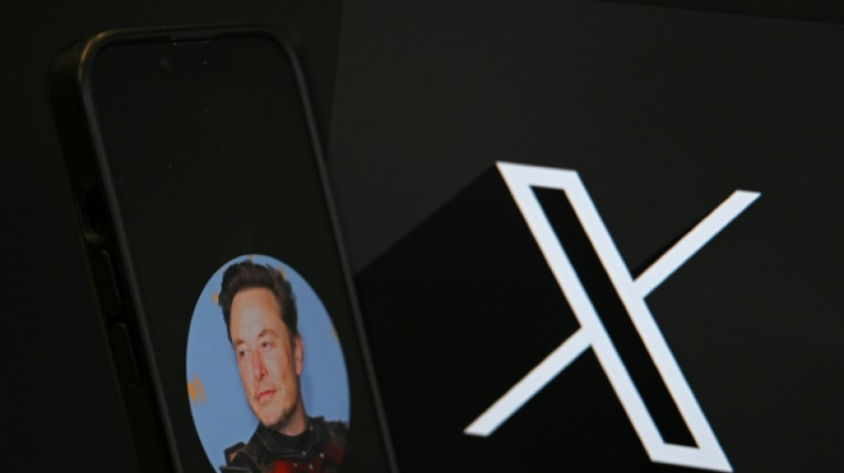 Emoi en Allemagne apr&egrave;s un soutien appuy&eacute; de Musk &agrave; l'extr&ecirc;me droite
