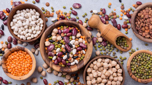 Legumi pilastri dieta sana, tre volte a settimana per prevenire le malattie croniche