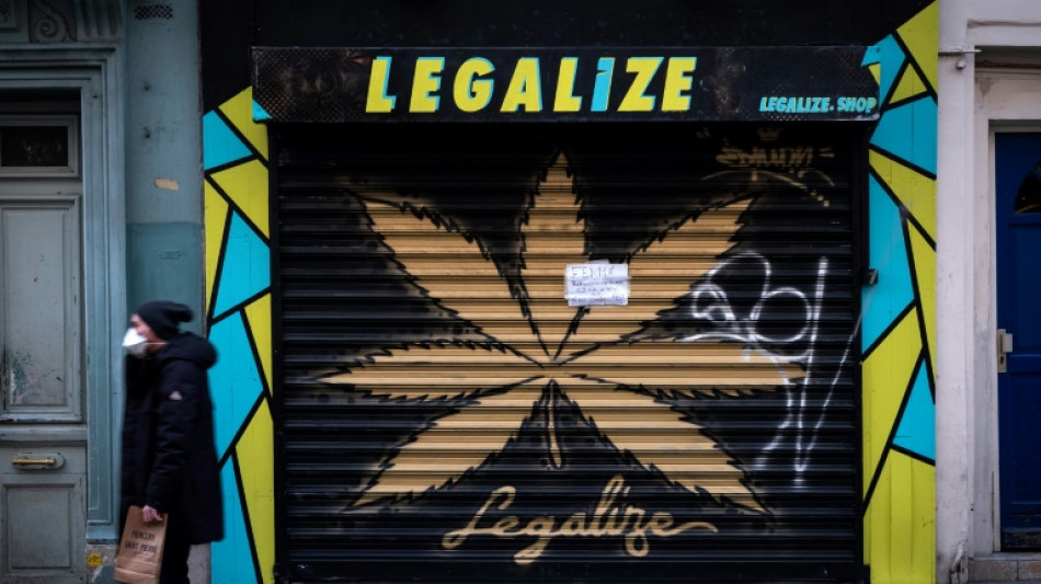 "Un march&eacute; assez chaotique": les boutiques de CBD dans le brouillard