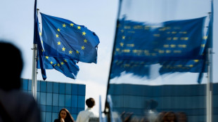 Zone euro: le ch&ocirc;mage baisse &agrave; 6,5% en mars, nouveau point bas historique
